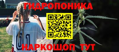 мяу мяу мука Бугуруслан